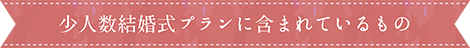 少人数プランに含まれているもの